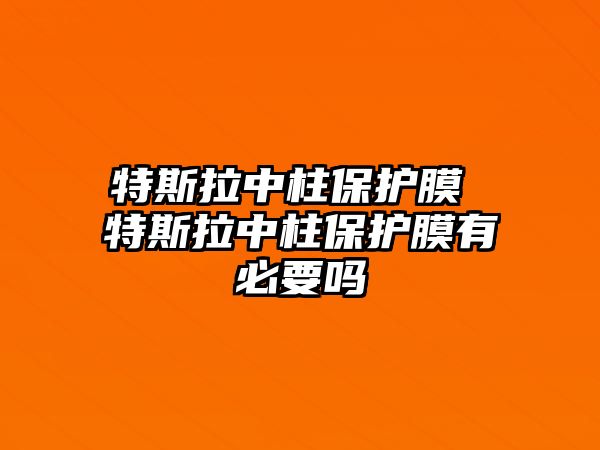 特斯拉中柱保護膜 特斯拉中柱保護膜有必要嗎