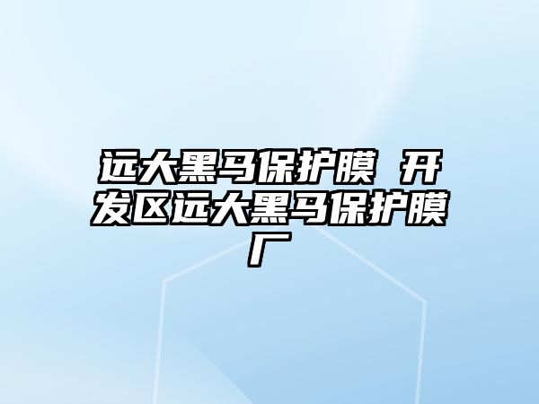 遠大黑馬保護膜 開發(fā)區(qū)遠大黑馬保護膜廠