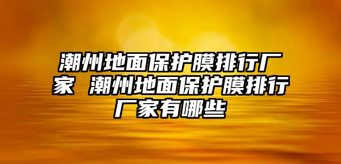 潮州地面保護(hù)膜排行廠家 潮州地面保護(hù)膜排行廠家有哪些