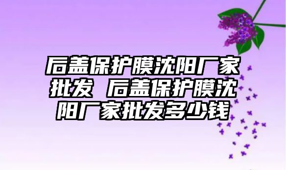 后蓋保護(hù)膜沈陽廠家批發(fā) 后蓋保護(hù)膜沈陽廠家批發(fā)多少錢