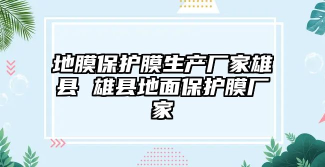 地膜保護(hù)膜生產(chǎn)廠家雄縣 雄縣地面保護(hù)膜廠家