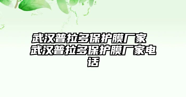 武漢普拉多保護(hù)膜廠家 武漢普拉多保護(hù)膜廠家電話