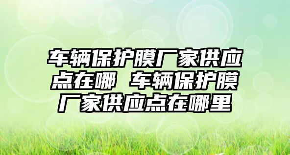 車輛保護(hù)膜廠家供應(yīng)點(diǎn)在哪 車輛保護(hù)膜廠家供應(yīng)點(diǎn)在哪里