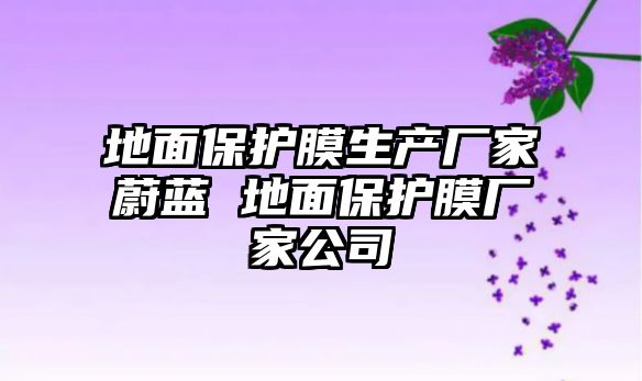 地面保護(hù)膜生產(chǎn)廠家蔚藍(lán) 地面保護(hù)膜廠家公司