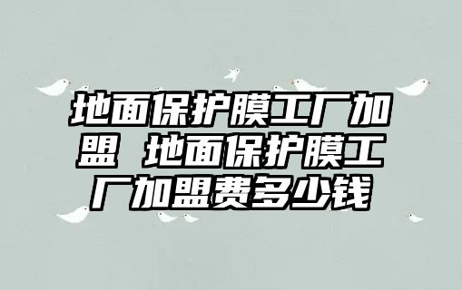 地面保護(hù)膜工廠加盟 地面保護(hù)膜工廠加盟費(fèi)多少錢