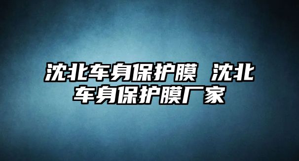 沈北車身保護(hù)膜 沈北車身保護(hù)膜廠家