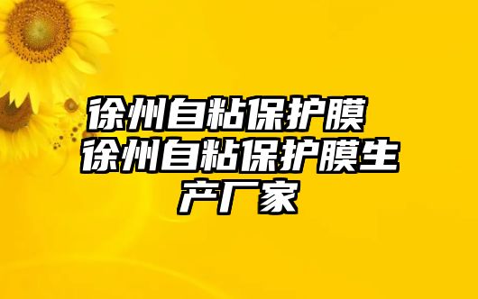 徐州自粘保護膜 徐州自粘保護膜生產廠家