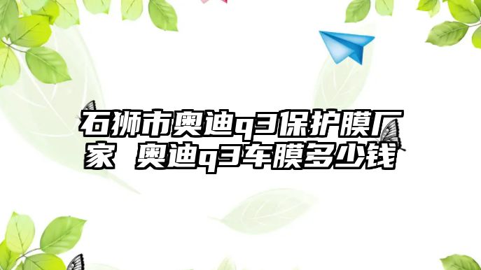 石獅市奧迪q3保護(hù)膜廠家 奧迪q3車膜多少錢