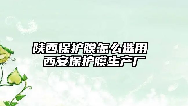 陜西保護膜怎么選用 西安保護膜生產(chǎn)廠