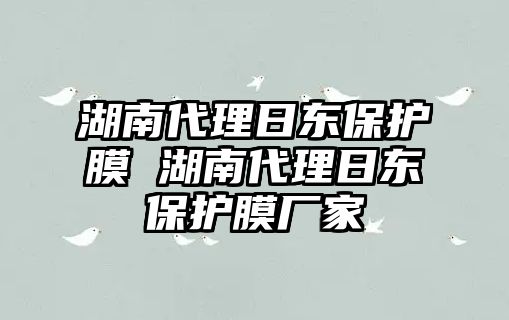 湖南代理日東保護(hù)膜 湖南代理日東保護(hù)膜廠家