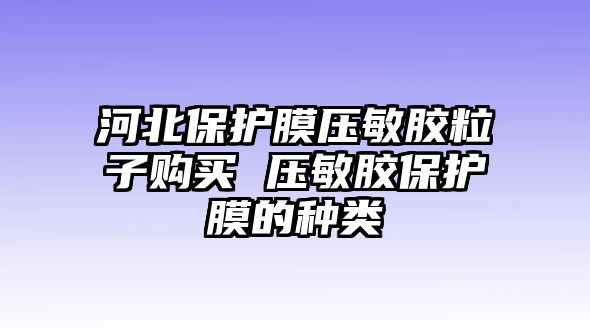 河北保護(hù)膜壓敏膠粒子購(gòu)買 壓敏膠保護(hù)膜的種類