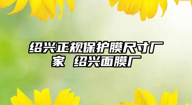 紹興正規(guī)保護膜尺寸廠家 紹興面膜廠