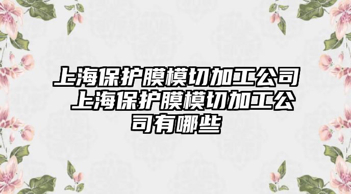 上海保護(hù)膜模切加工公司 上海保護(hù)膜模切加工公司有哪些