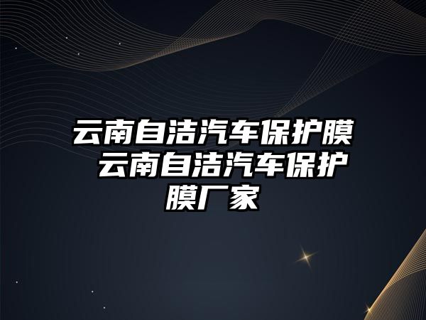 云南自潔汽車保護(hù)膜 云南自潔汽車保護(hù)膜廠家