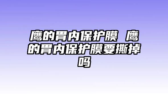 鷹的胃內(nèi)保護膜 鷹的胃內(nèi)保護膜要撕掉嗎