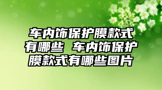 車內飾保護膜款式有哪些 車內飾保護膜款式有哪些圖片